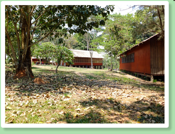 In the picture below you see the old building housing the history, math and English room at the centre of the picture. The building to the right is new. This picture is taken with my back to what used to be the track, and looking in the direction of Yarin